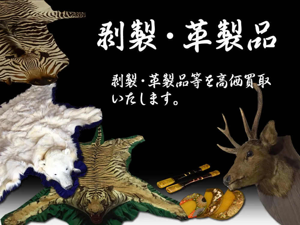 �����E�v���i�������撆