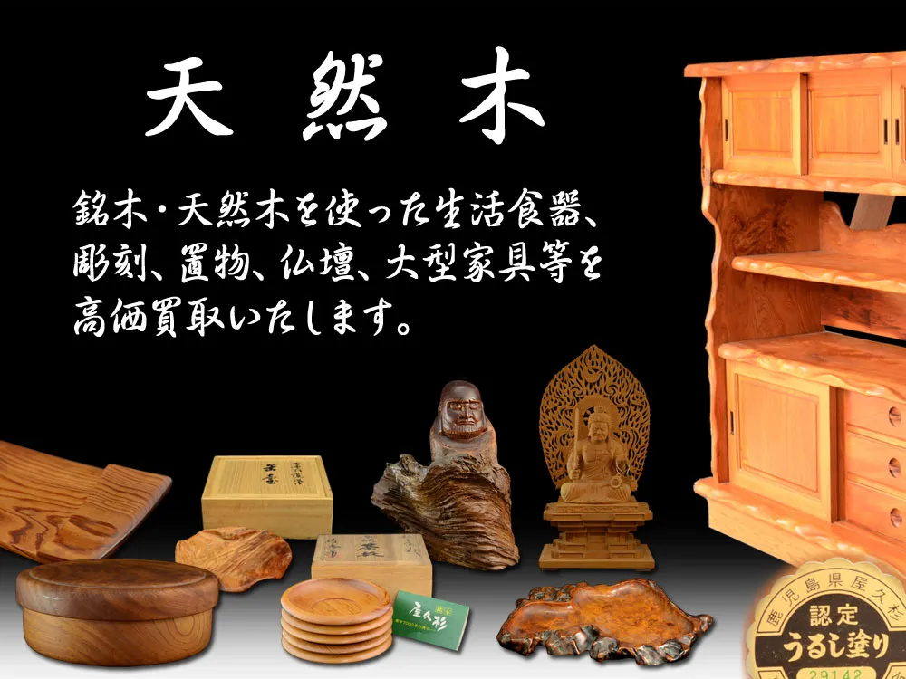 �V�R�؁E�V�R�ؐ��i����