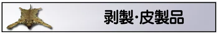 ���� �L�� ���� �琻�i