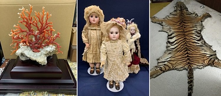 骨董品 赤珊瑚 アンティークドール 毛皮 買取 尾道市
鑑定